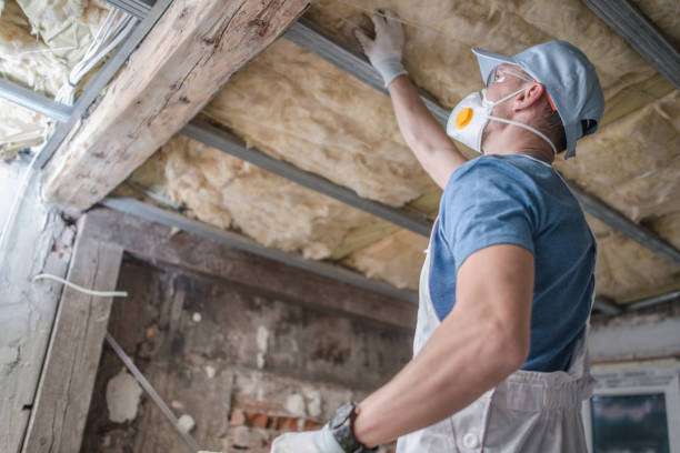 Best Commercial Insulation in Port Wentworth, GA